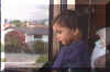 pipo viendo por la ventana.JPG (51122 bytes)